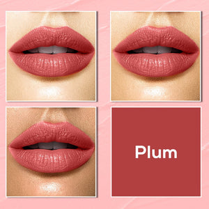 Color Me Matte Liquid Lipstick: Plum - JaqulineUSA